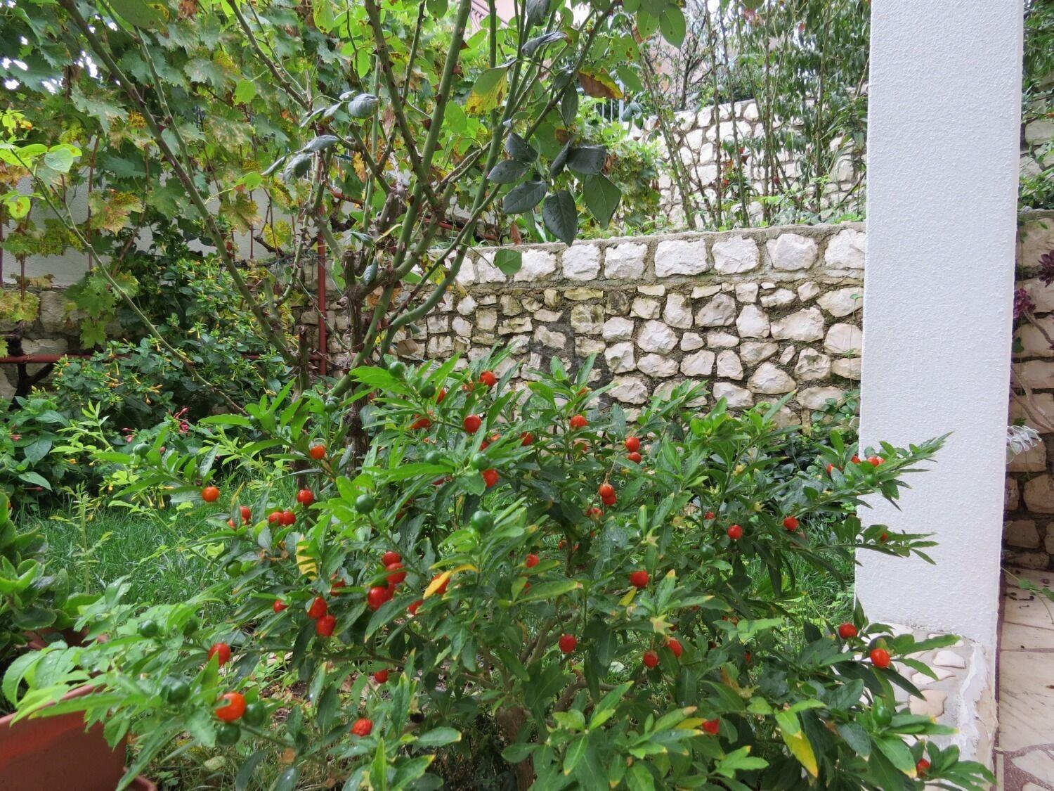 Appartement Bubi Trogir